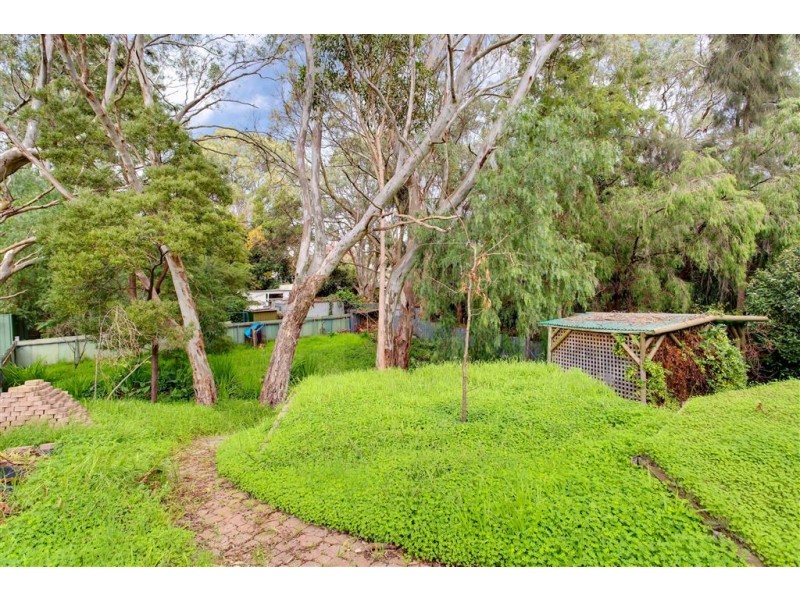 15 Steventon Drive, Banksia Park SA 5091