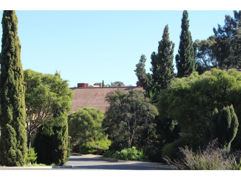 2/1 Glenbrae Close, Wynn Vale SA 5127