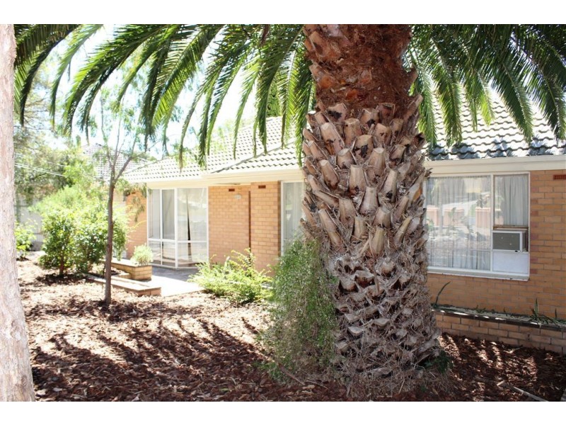 10 Lema Avenue, Fairview Park SA 5126