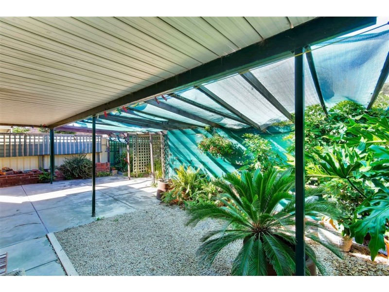 15 Shropshire Avenue, Hillcrest SA 5086