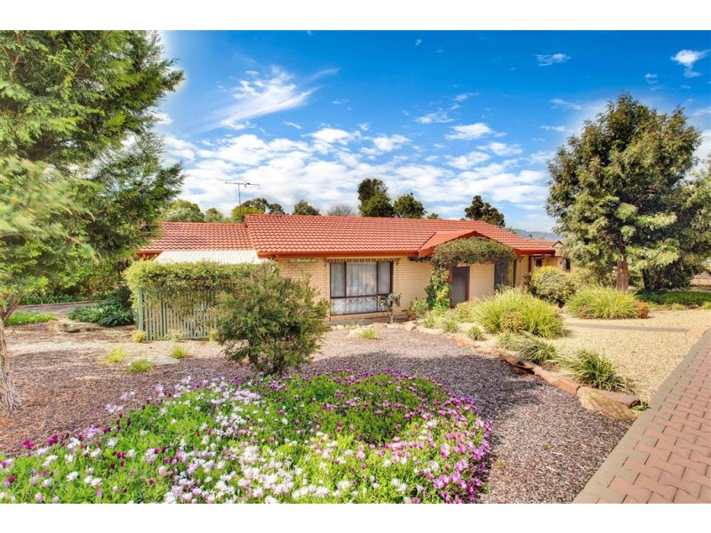 17 Brolga Street, Modbury Heights SA 5092