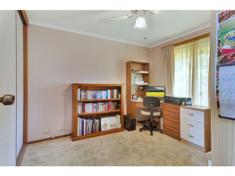 17 Brolga Street, Modbury Heights SA 5092