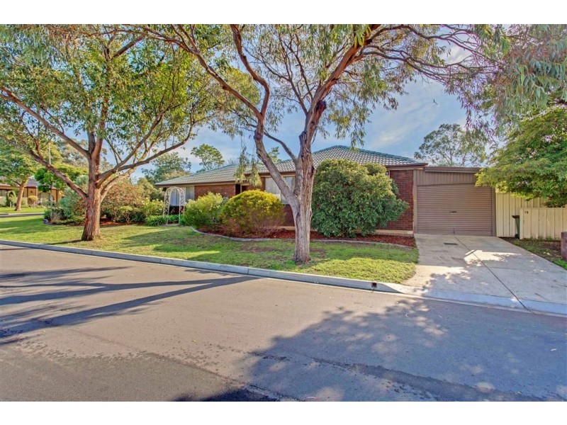 19 Minerva Crescent, Modbury Heights SA 5092