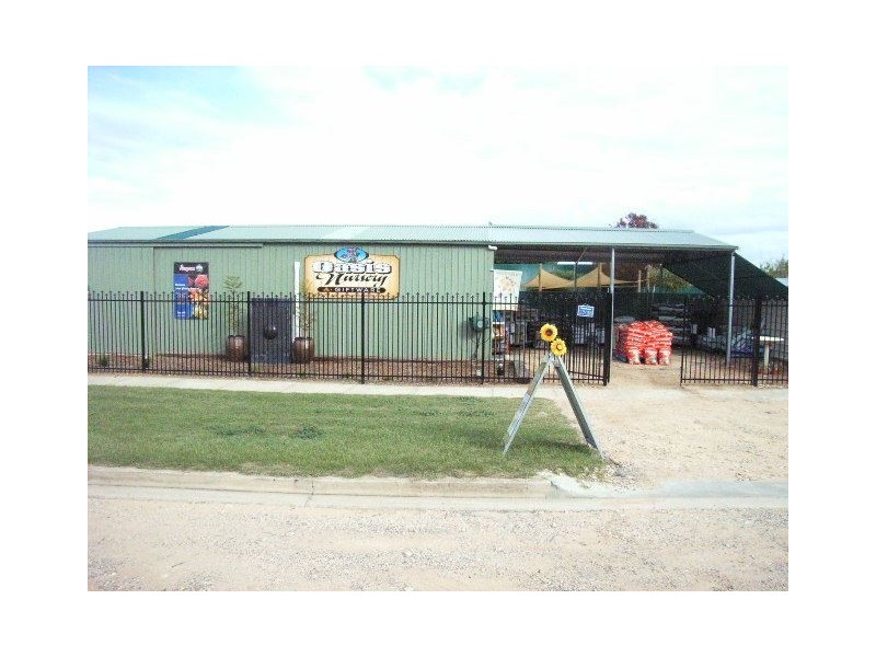 91 Homburg Terrace, Pinnaroo SA 5304