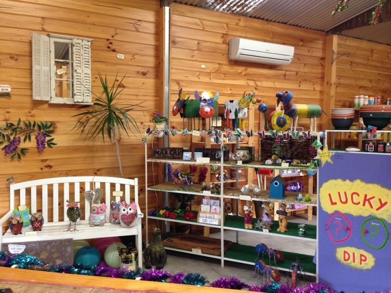 91 Homburg Terrace, Pinnaroo SA 5304