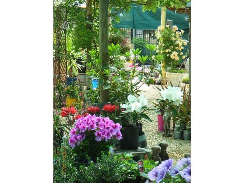 91 Homburg Terrace, Pinnaroo SA 5304