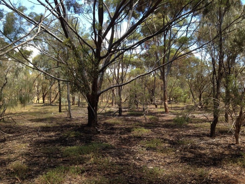 Lot 15 Argent Road, Penfield SA 5121