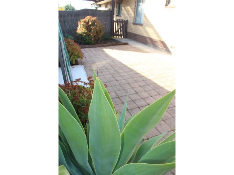 2/6b Spenfeld Court, Valley View SA 5093