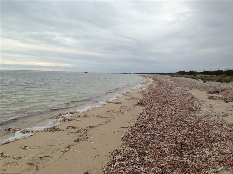 LOT 340 Kestrel Crescent, Thompson Beach SA 5501