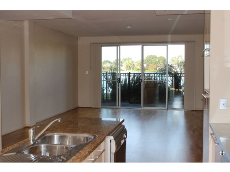 7/36 Shearwater Drive, Mawson Lakes SA 5095