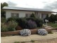 7 Homburg Terrace, Pinnaroo SA 5304