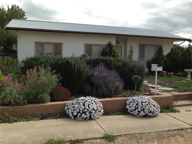 7 Homburg Terrace, Pinnaroo SA 5304
