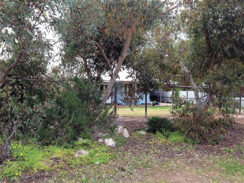 31 Adelaide Road, Pinnaroo SA 5304