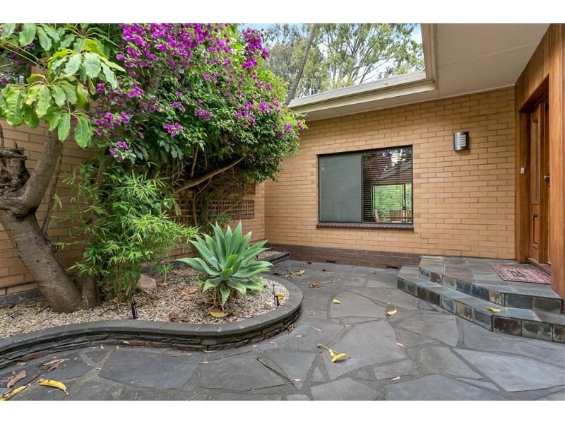 5 Nunyah Drive, Banksia Park SA 5091