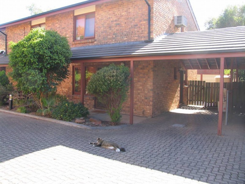 7/34 Downer Street, Campbelltown SA 5074