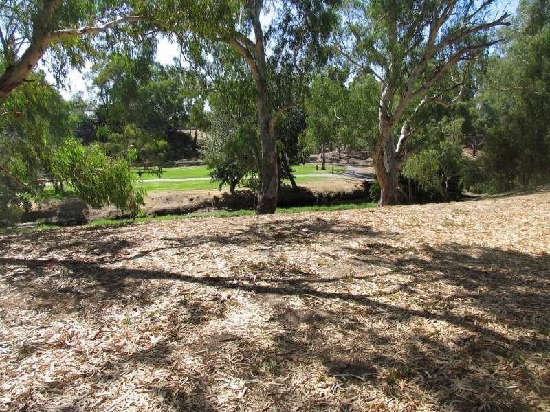 33 Glenbrook Cl, Marden SA 5070