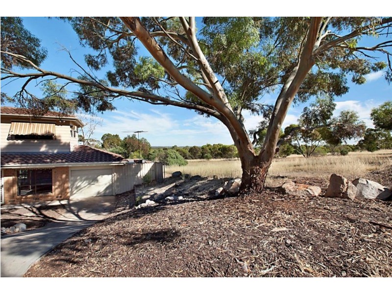 55 Christine Avenue, Hillbank SA 5112