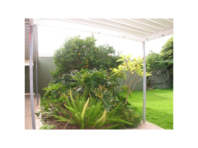 6 Burford Road, Henley Beach South SA 5022