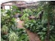 11 Shelley Avenue, Fulham Gardens SA 5024