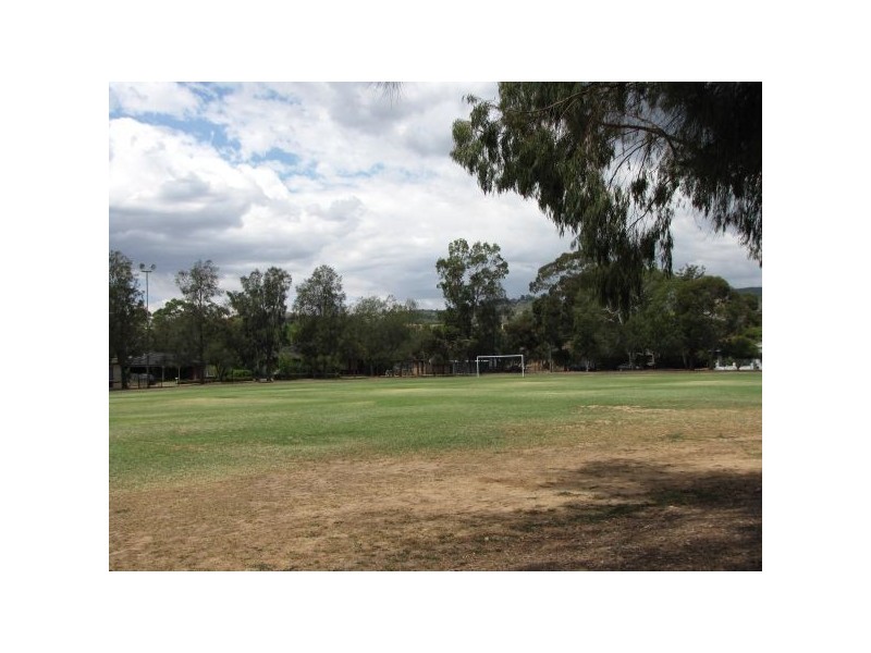 36 Windsor Avenue, Magill SA 5072