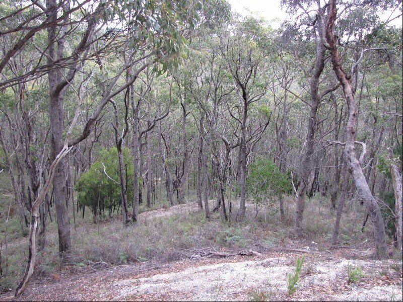 Lot 11 Summerhill Drive, Crafers SA 5152