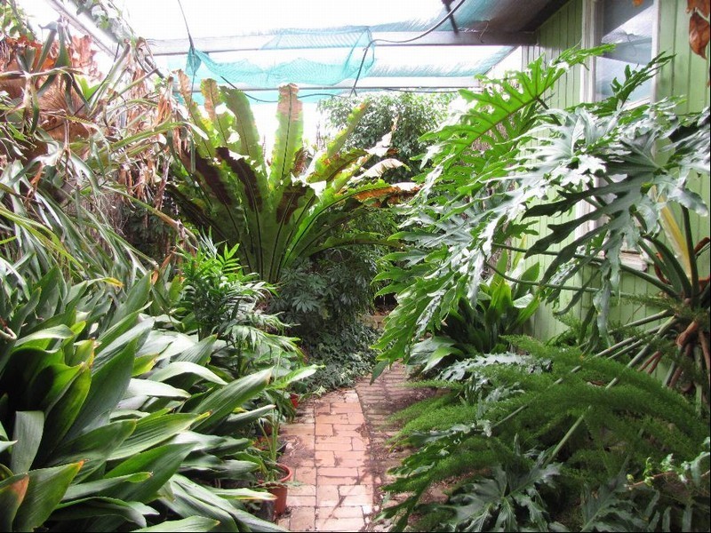 21 Somerset Avenue, Clearview SA 5085