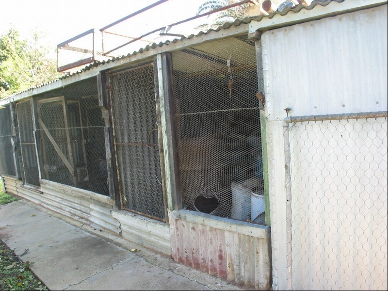 39 Stroud Street North, Cheltenham SA 5014