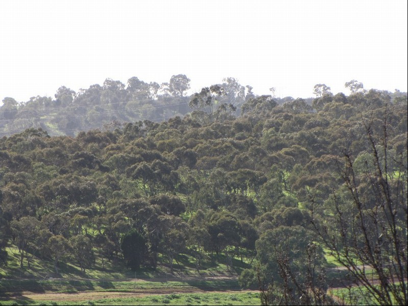 28 Petworth Parade, Greenwith SA 5125