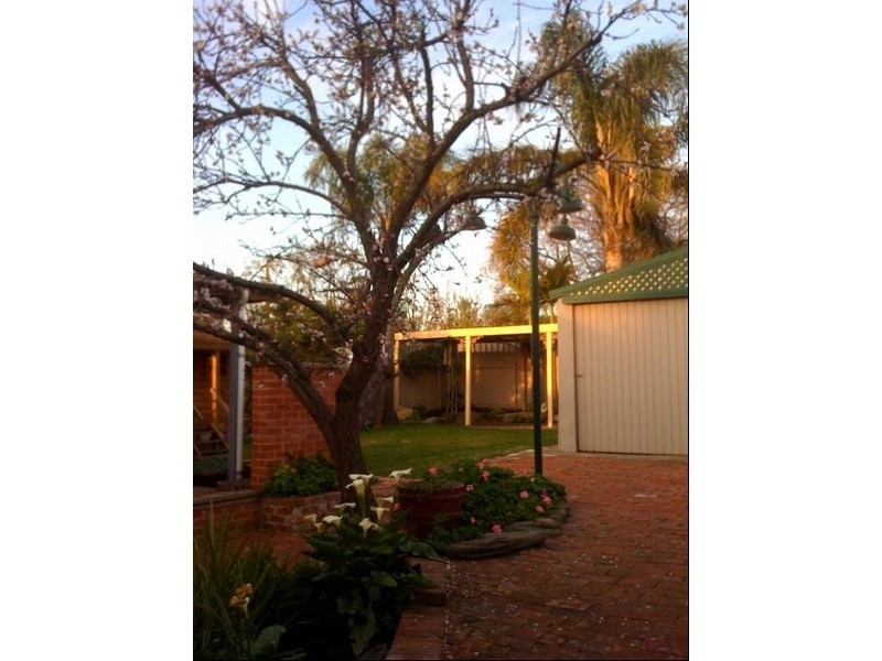 15 Linley Avenue, Prospect SA 5082