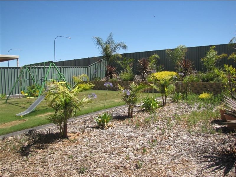 12 Lakefield Crescent, Mawson Lakes SA 5095