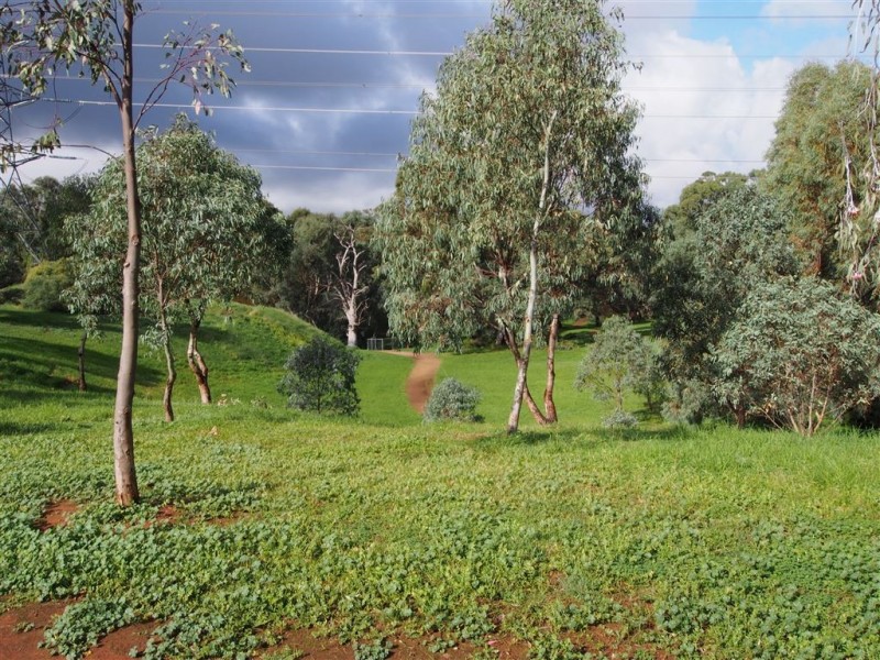 58 Coppleridge Drive, Elizabeth Vale SA 5112