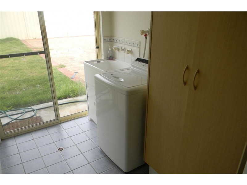 31 Rugby Avenue, Croydon Park SA 5008