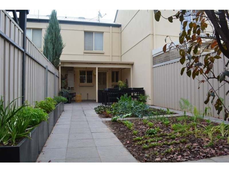 5/213 Devonport Terrace, Prospect SA 5082