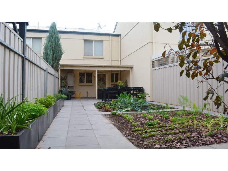 5/213 Devonport Terrace, Prospect SA 5082