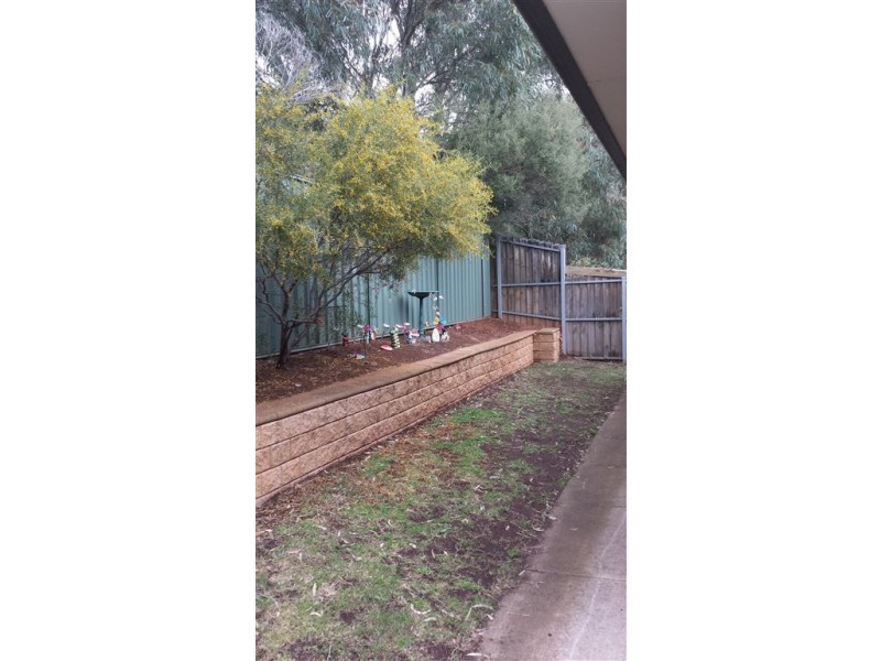 18 Maple CCt, Mawson Lakes SA 5095