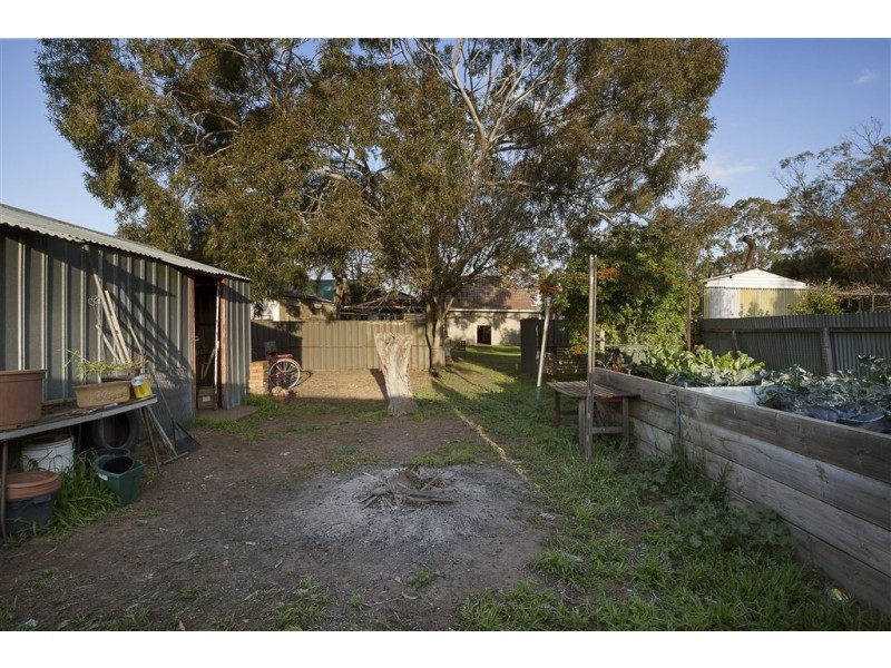 17 Percy Street, Cheltenham SA 5014