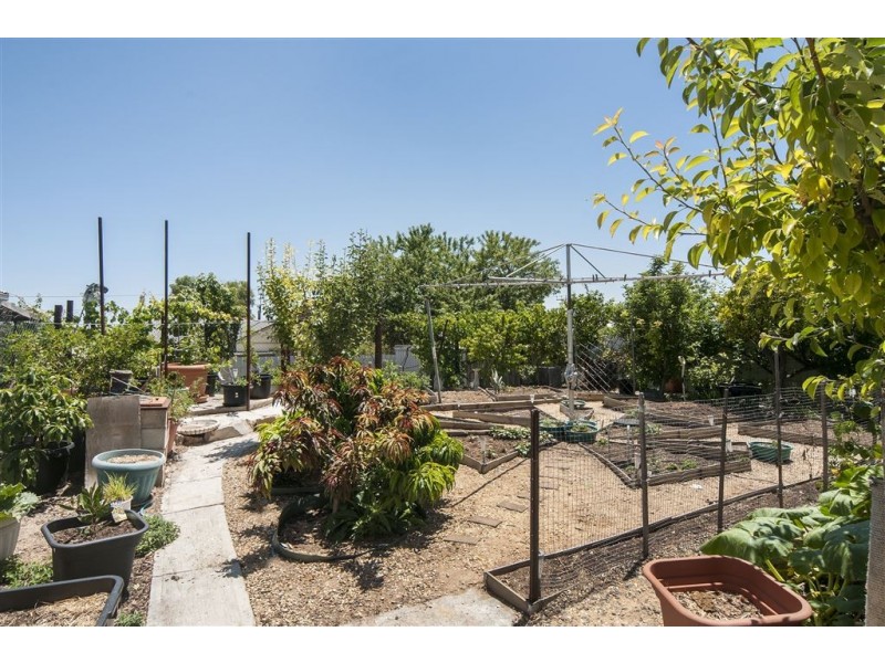 9 Learmonth Terrace, Enfield SA 5085