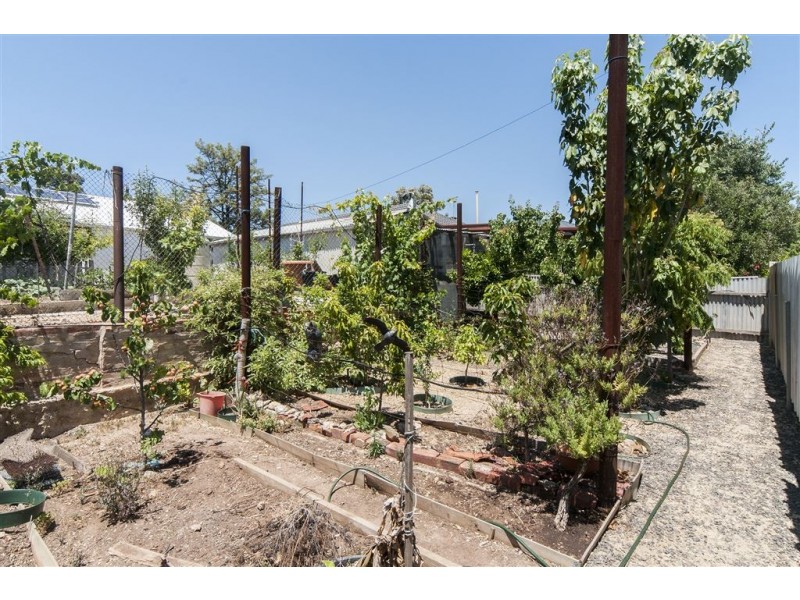 9 Learmonth Terrace, Enfield SA 5085