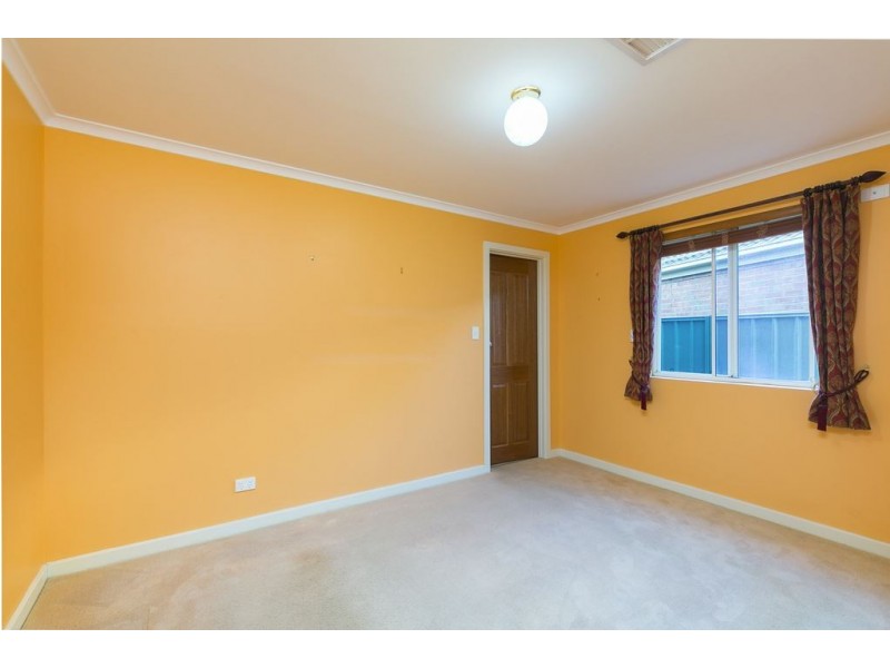 7 The Avenue, Mawson Lakes SA 5095