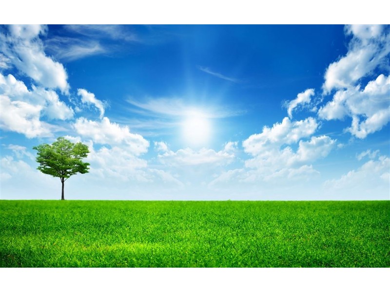 Lot 12 McKell Street, Kidman Park SA 5025