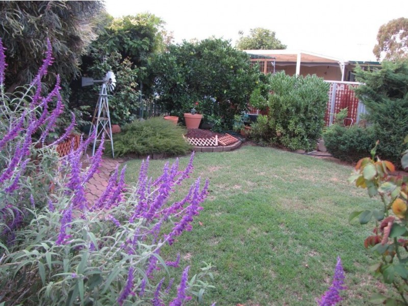 86 Beatrice Street, Prospect SA 5082