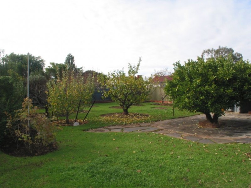 11 Wharfe Street, Woodville South SA 5011