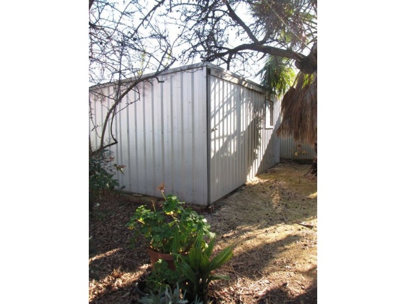 8 Dudley Avenue, Prospect SA 5082