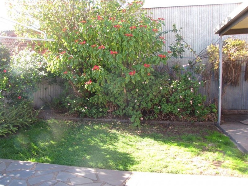 8 Dudley Avenue, Prospect SA 5082