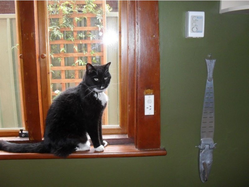 59 Harrison Road, Devon Park SA 5008