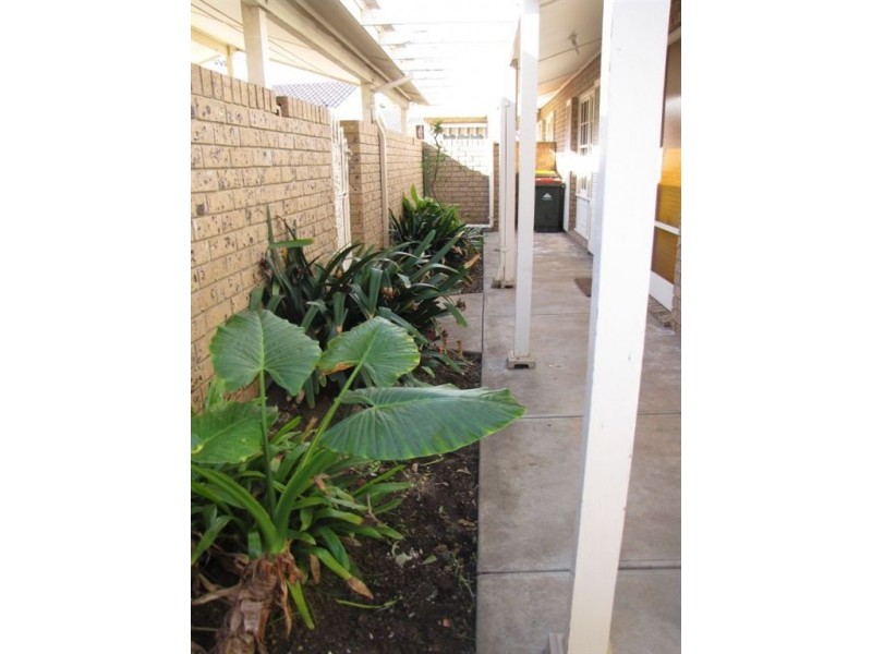 7/145 Cliff Street, Glengowrie SA 5044