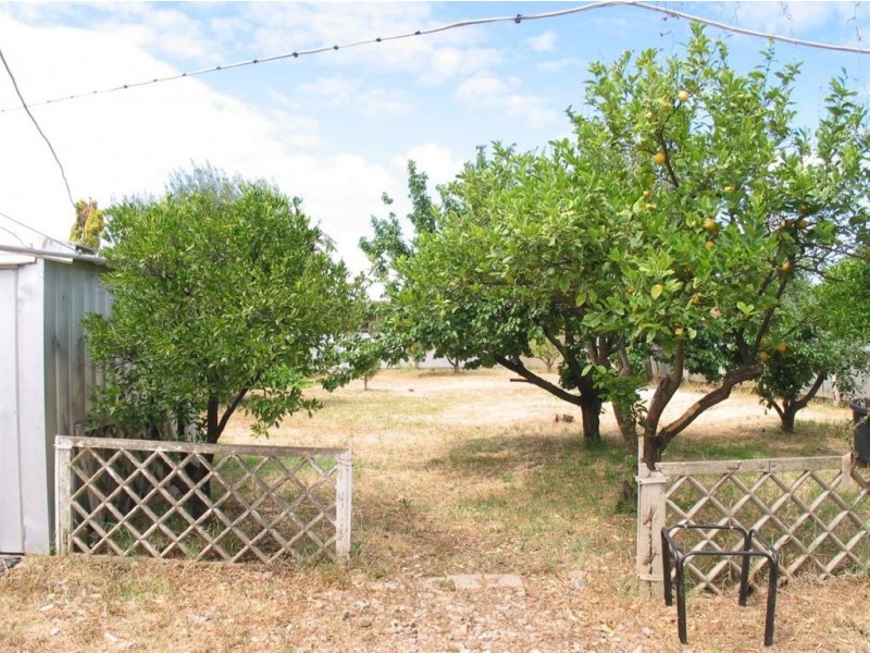 31 Brunswick Street, Kilburn SA 5084