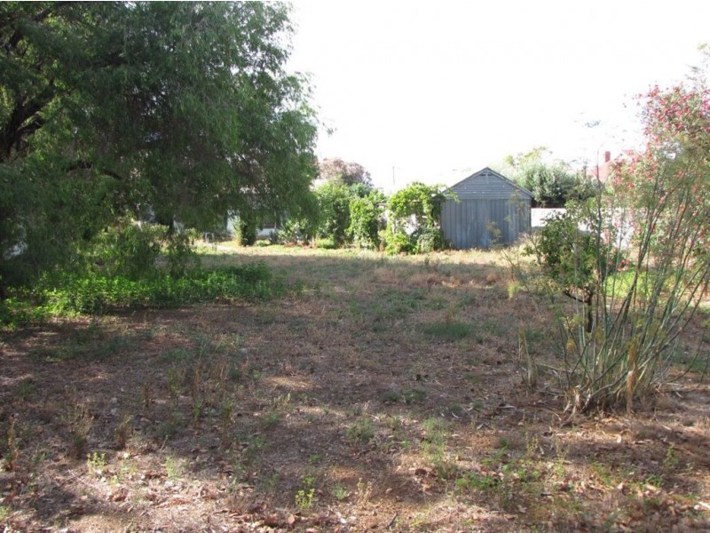 1 Lincoln Street, West Croydon SA 5008