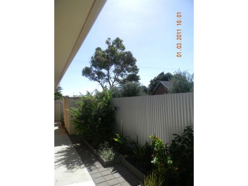 11 Olive Street, Seaton SA 5023