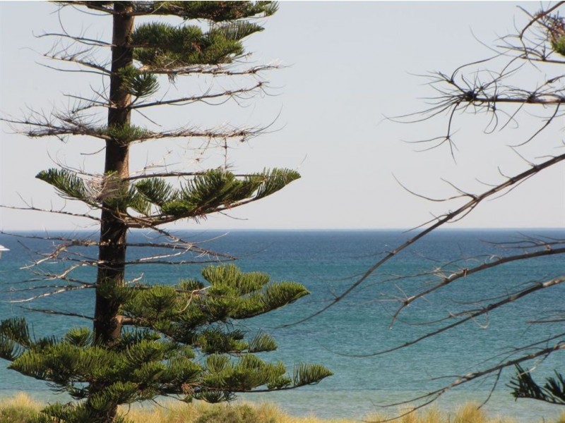 546 Seaview Road, Grange SA 5022